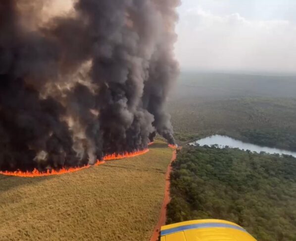 CNN Brasil