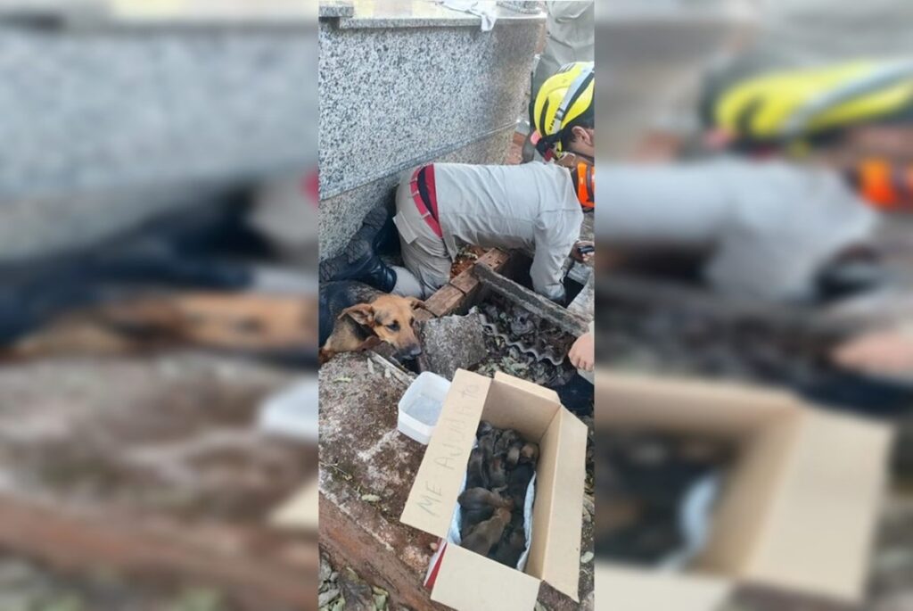 Ícone de sino para notificações